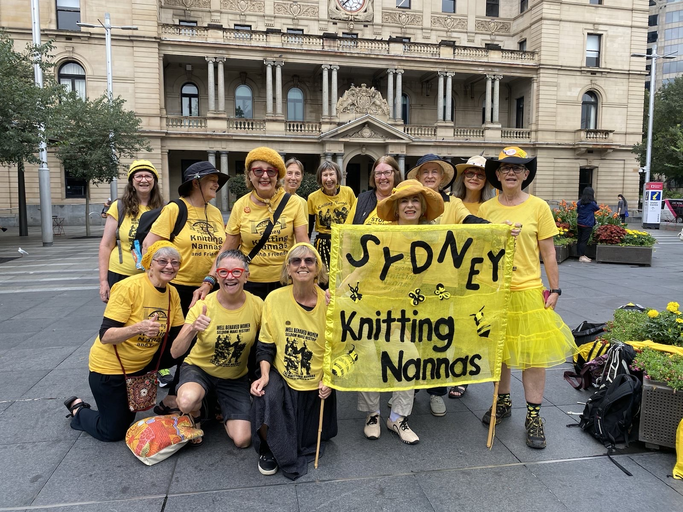 Sydney Knitting Nannas & Friends
